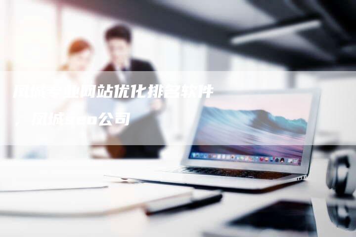 凤城专业网站优化排名软件，凤城seo公司