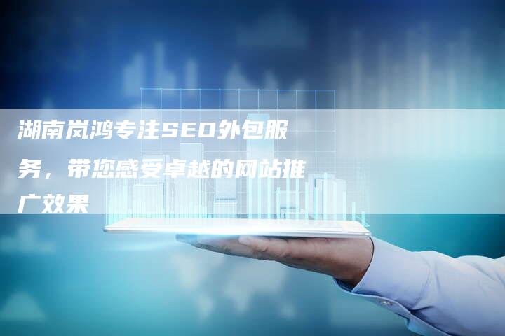 湖南岚鸿专注SEO外包服务，带您感受卓越的网站推广效果