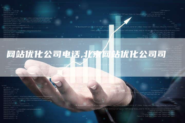 网站优化公司电话,北京网站优化公司司
