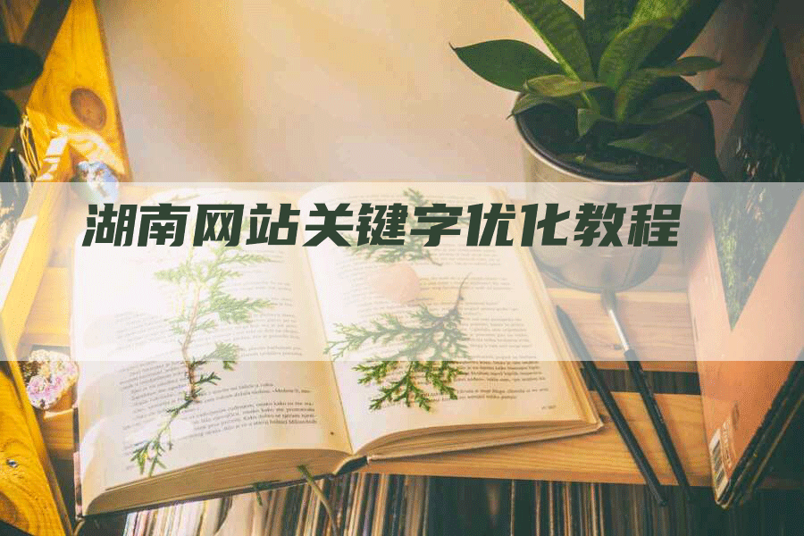 湖南网站关键字优化教程