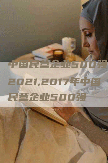中国民营企业500强名单2021,2017年中国民营企业500强