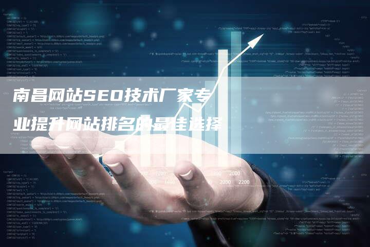 南昌网站SEO技术厂家专业提升网站排名的最佳选择