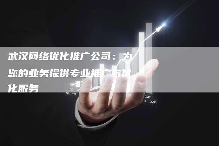 武汉网络优化推广公司：为您的业务提供专业推广与优化服务