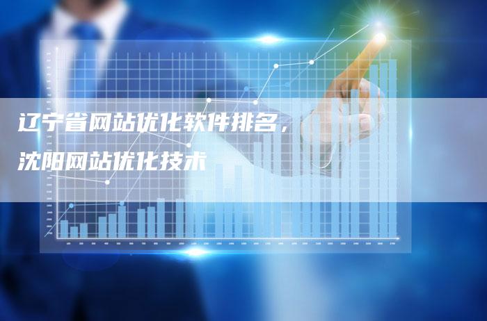 辽宁省网站优化软件排名，沈阳网站优化技术