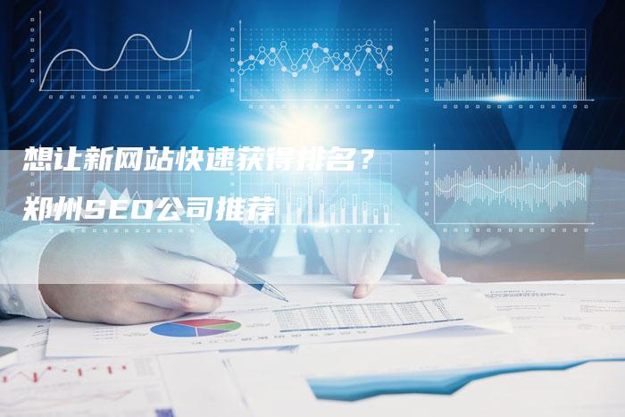 想让新网站快速获得排名？郑州SEO公司推荐