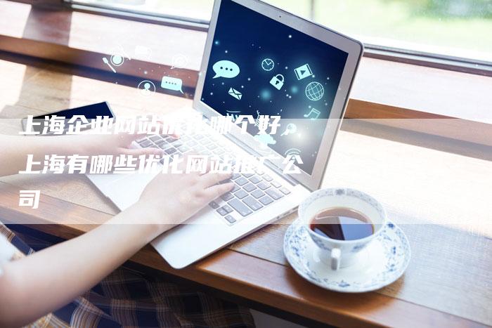 上海企业网站优化哪个好，上海有哪些优化网站推广公司