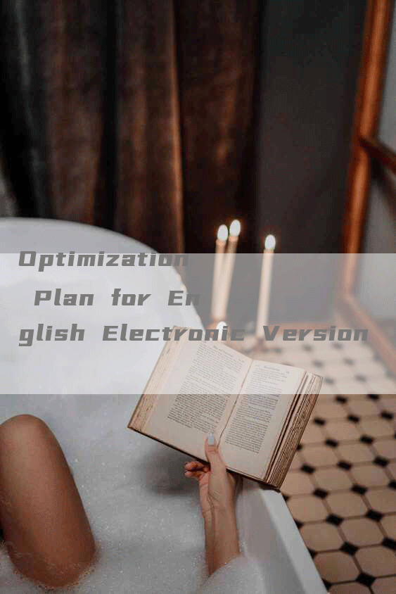 Optimization Plan for English Electronic Version