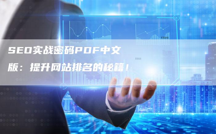 SEO实战密码PDF中文版：提升网站排名的秘籍！