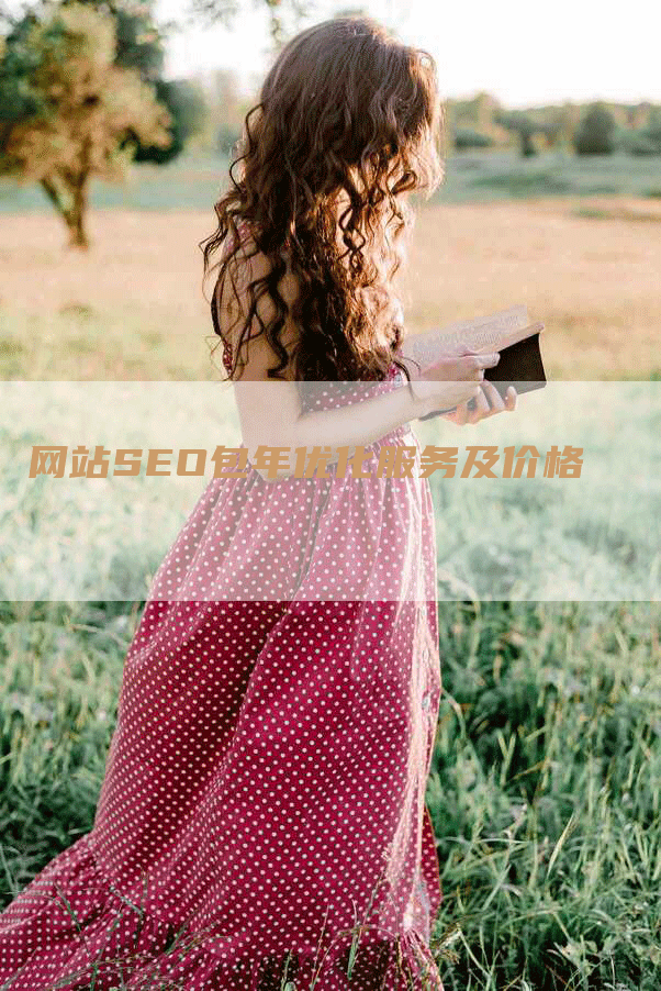 网站SEO包年优化服务及价格