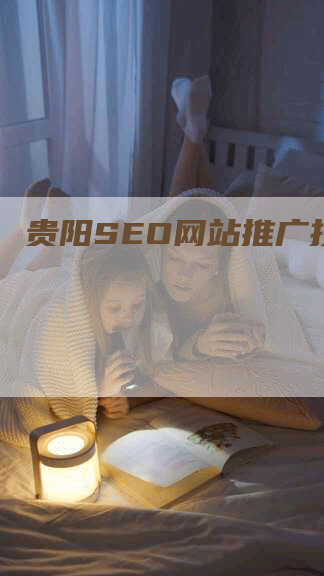 贵阳SEO网站推广技巧