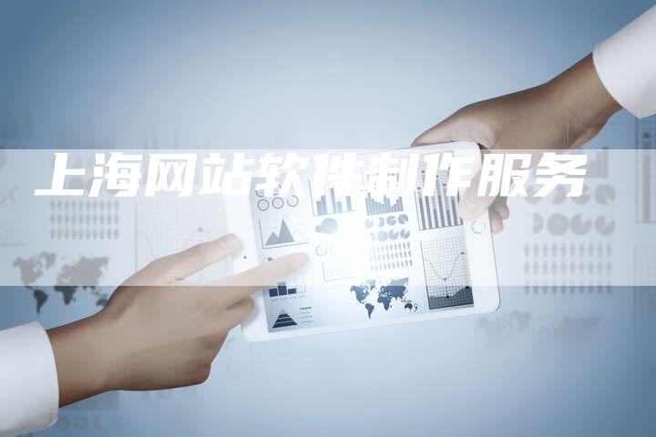 上海网站软件制作服务