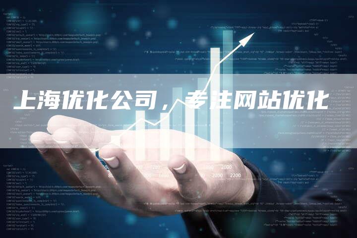 上海优化公司，专注网站优化